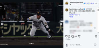 阪神タイガース
