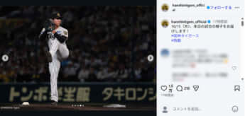 阪神タイガース
