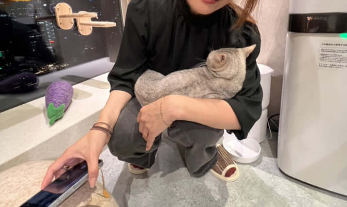 保護猫