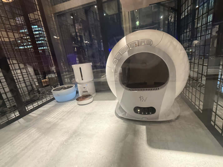 保護猫