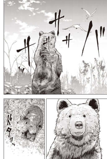 kuma01-18